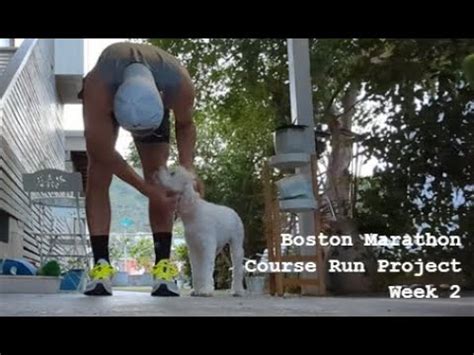 boston marathon live youtube
